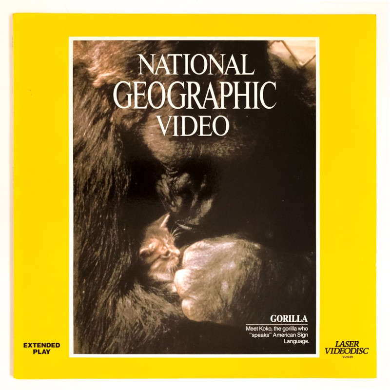 National Geographic: Gorilla (NTSC, Englisch)