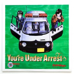 You're Under Arrest! 2...