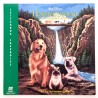 Homeward Bound: The Incredible Journey (NTSC, English)