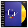 Peter Gabriel: CV (PAL, English)