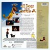 All Dogs go to Heaven 2 (NTSC, Englisch)