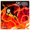 Arcadia of My Youth (NTSC, Japanese)