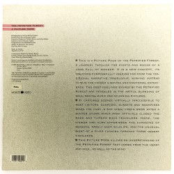 Petrified Forest: A Picture Poem (PAL, Englisch)