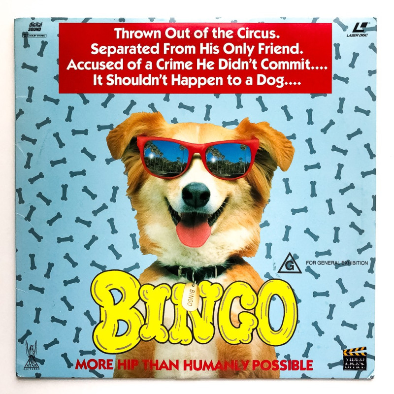 Bingo (PAL, English)