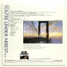 You're Under Arrest: File.1 (NTSC, Japanisch)