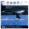 Whale Fantasy (NTSC, Japanese)
