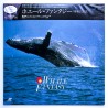 Whale Fantasy (NTSC, Japanese)