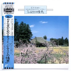 Beautiful Seasons of Japan...